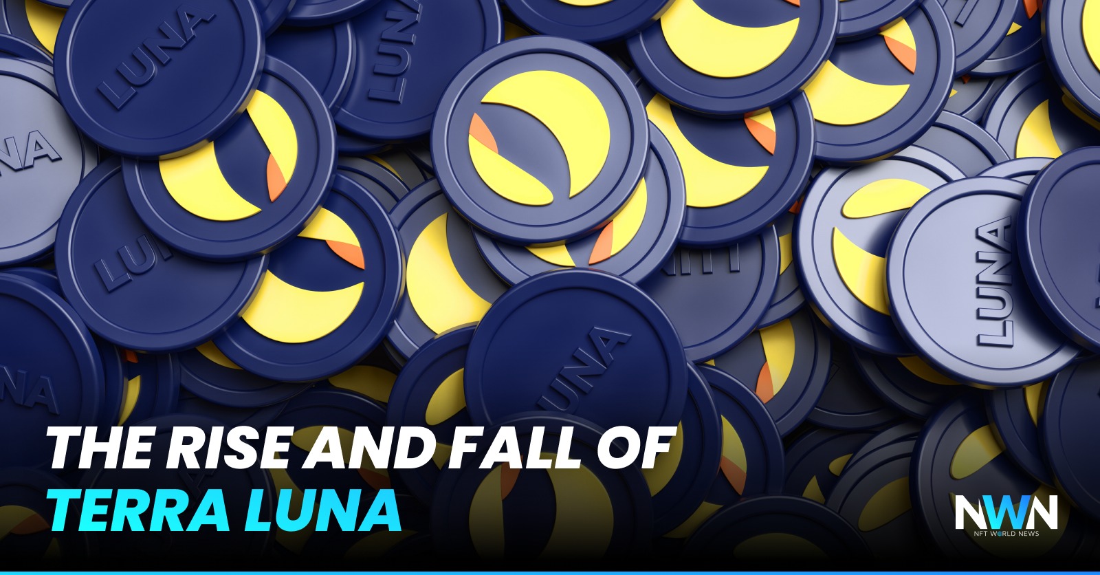 The Rise and Fall of Terra Luna