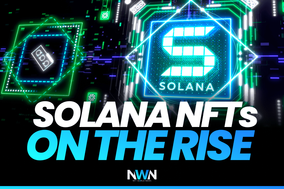 Solana NFTs On The Rise