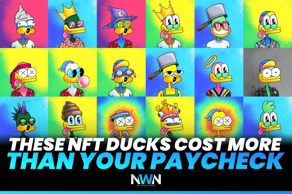 These NFT Ducks Cost More Than Your Paycheck