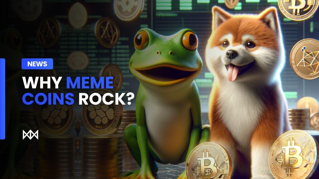 Why meme coins rock in 2024